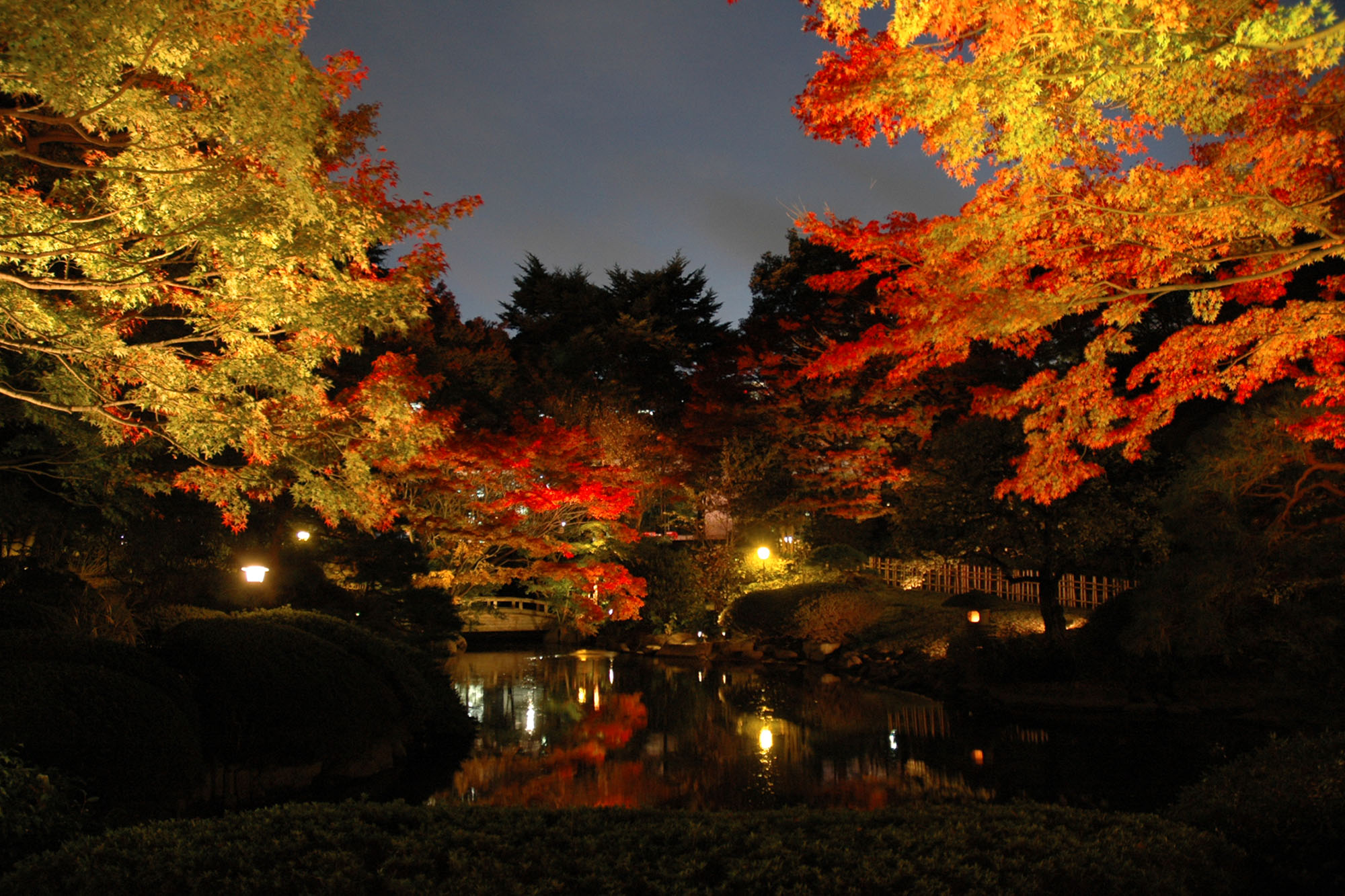 東京都庭園美術館　庭園ライトアップ